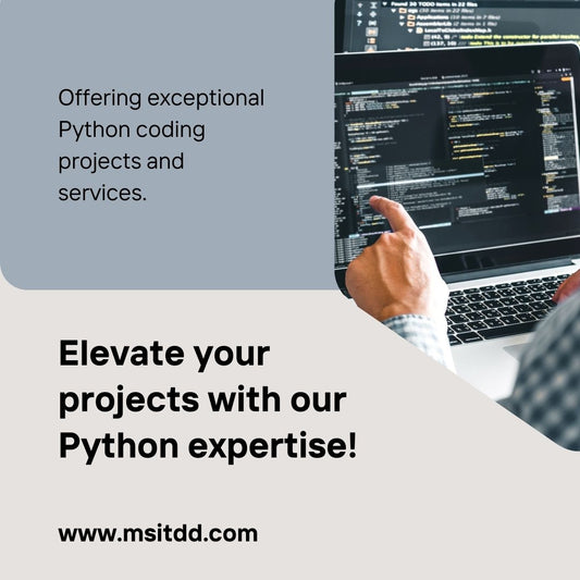 python coding projects services